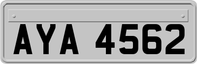 AYA4562