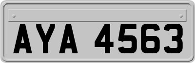 AYA4563