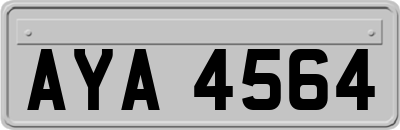 AYA4564