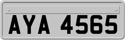 AYA4565