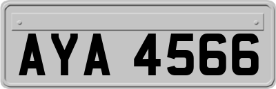 AYA4566