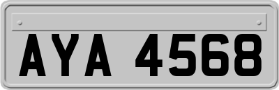 AYA4568