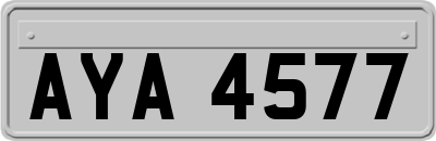 AYA4577