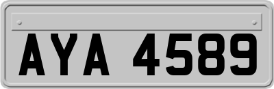 AYA4589
