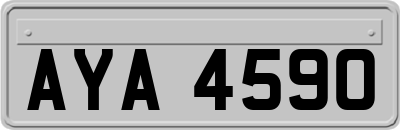 AYA4590