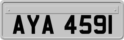 AYA4591