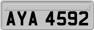 AYA4592