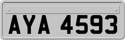 AYA4593