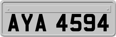 AYA4594