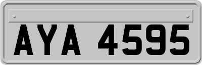 AYA4595