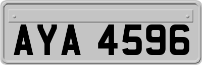 AYA4596