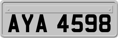 AYA4598