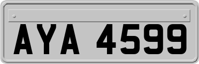 AYA4599