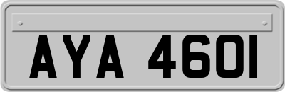 AYA4601