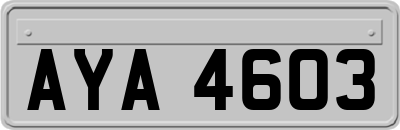 AYA4603
