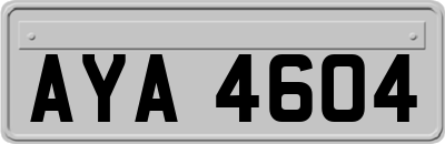AYA4604