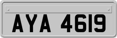 AYA4619