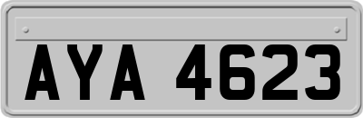 AYA4623