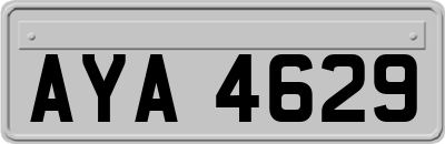 AYA4629