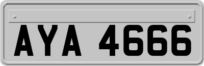AYA4666