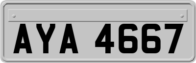 AYA4667