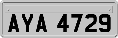 AYA4729