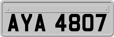 AYA4807