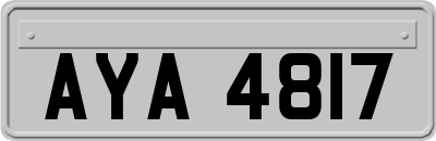 AYA4817