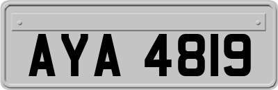 AYA4819