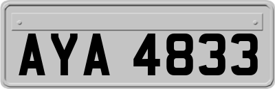 AYA4833