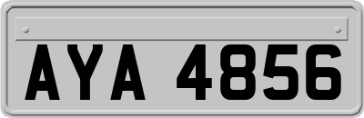 AYA4856
