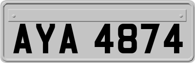 AYA4874
