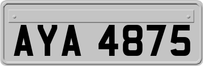 AYA4875