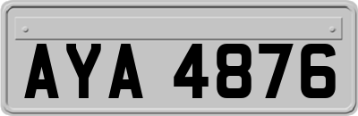 AYA4876