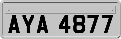 AYA4877