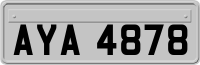 AYA4878