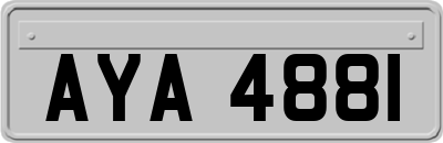 AYA4881