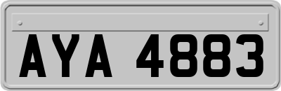 AYA4883
