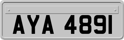AYA4891