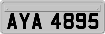 AYA4895