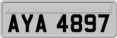 AYA4897