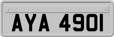 AYA4901