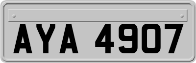 AYA4907