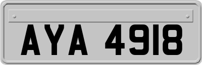 AYA4918