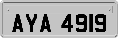 AYA4919
