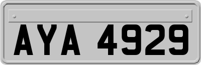 AYA4929