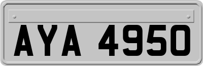 AYA4950