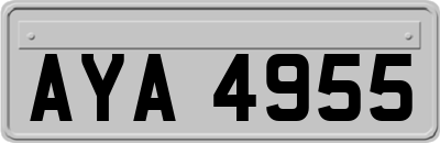 AYA4955