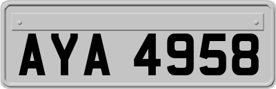 AYA4958