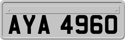 AYA4960